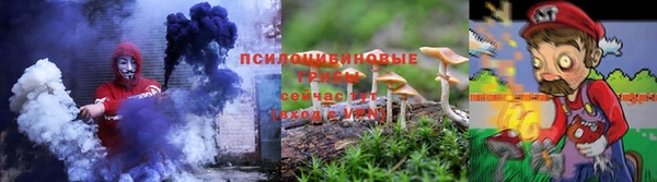 дурь Алексин