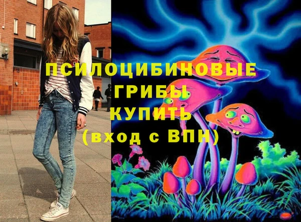 спиды Алзамай