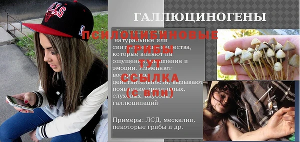 дурь Алексин