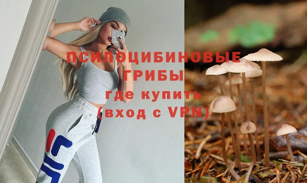 дурь Алексин